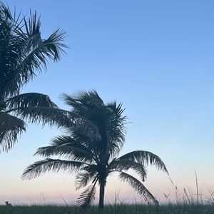 Meet your Posher, Payton